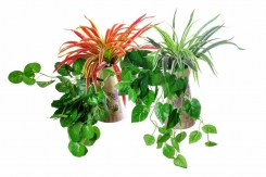 062 Veštačko zelenilo   